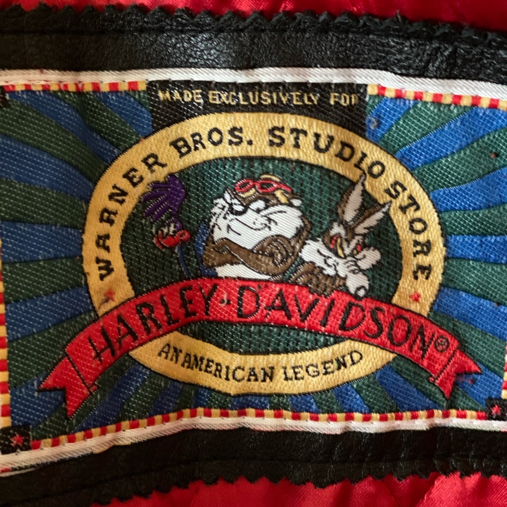 Vintage Harley Davidson Jacket! Collector Piece - Picture 5 of 14